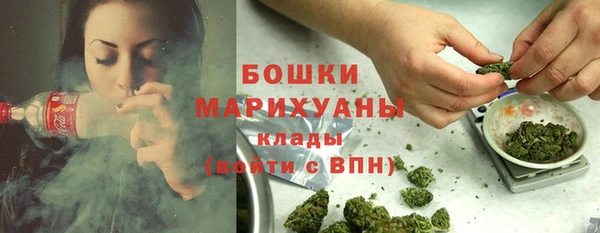 индика Алапаевск