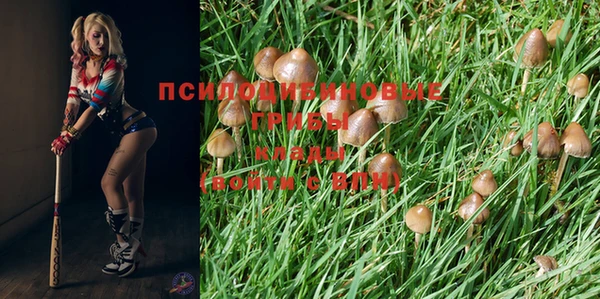 марки nbome Михайловка