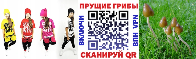 Псилоцибиновые грибы MAGIC MUSHROOMS  KRAKEN зеркало  Красный Кут 